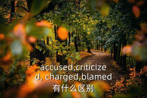 accused,criticized, charged,blamed有什么區別
