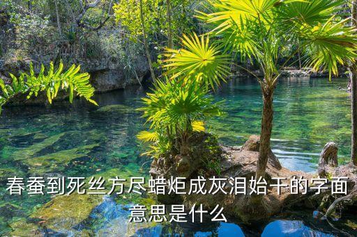 春蠶到死絲方盡蠟炬成灰淚始干的意思，春蠶到死絲方盡 蠟炬成灰淚始干的意思