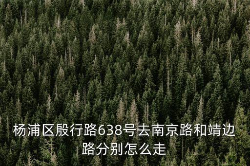 楊浦區殷行路638號去南京路和靖邊路分別怎么走