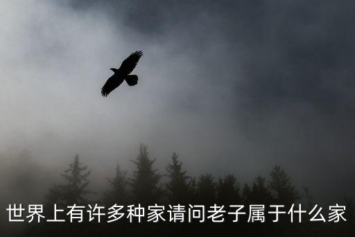 老子是什么家，世界上有許多種家請問老子屬于什么家