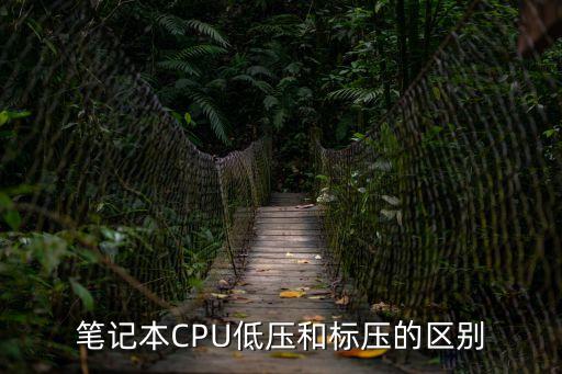 筆記本CPU低壓和標壓的區別