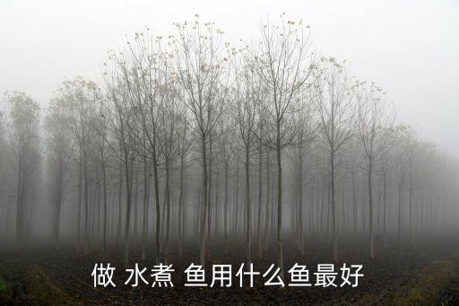 做 水煮 魚用什么魚最好