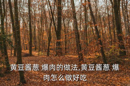 黃豆醬蔥 爆肉的做法,黃豆醬蔥 爆肉怎么做好吃