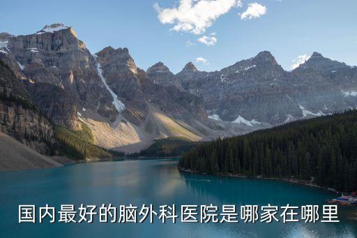 國內最好的腦外科醫院是哪家在哪里