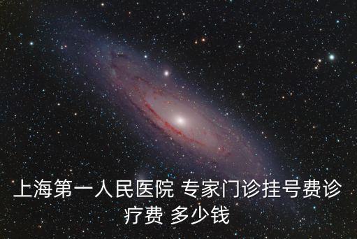 上海第一人民醫院 專家門診掛號費診療費 多少錢