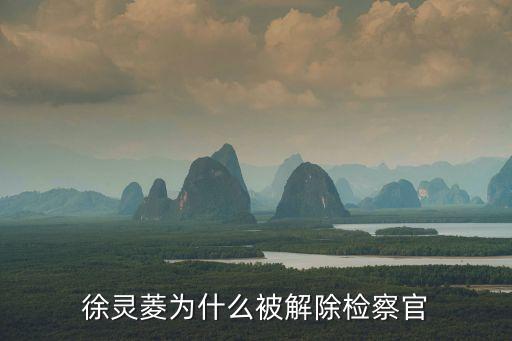 徐靈菱為什么被解除檢察官