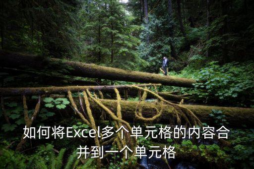 單元格內容合并，excel 單元格內容合并