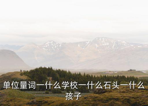 單位量詞一什么學校一什么石頭一什么孩子