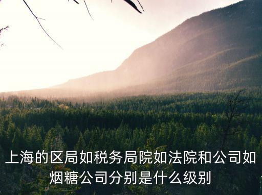 上海的區局如稅務局院如法院和公司如煙糖公司分別是什么級別