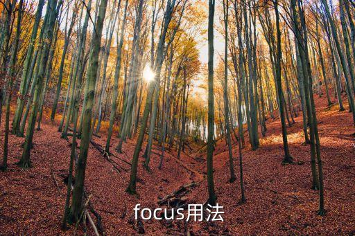 focus,擴展數據:焦點和集中在英文里是焦點