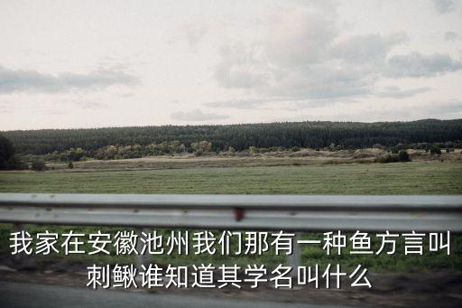 我家在安徽池州我們那有一種魚方言叫刺鰍誰知道其學名叫什么
