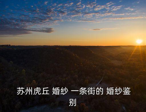 蘇州婚紗一條街,從上海到蘇州虎丘怎么走?