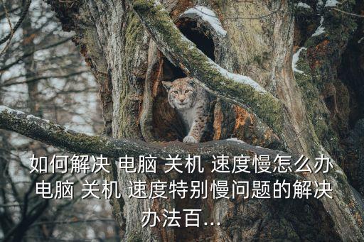 電腦關(guān)機(jī)速度很慢,為什么系統(tǒng)關(guān)機(jī)進(jìn)程慢?