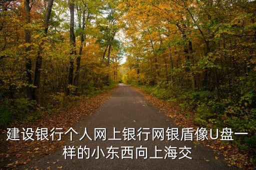 建設銀行個人網上銀行網銀盾像U盤一樣的小東西向上海交