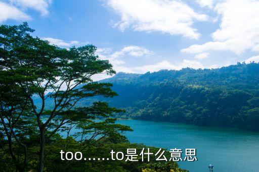 too……to是什么意思
