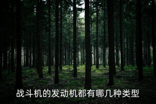 戰斗機的發動機都有哪幾種類型