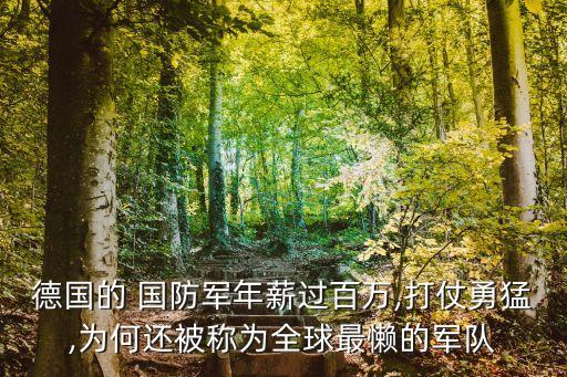 德國的 國防軍年薪過百萬,打仗勇猛,為何還被稱為全球最懶的軍隊