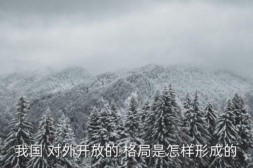 對外開放格局的形成