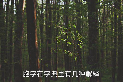 胞字在字典里有幾種解釋