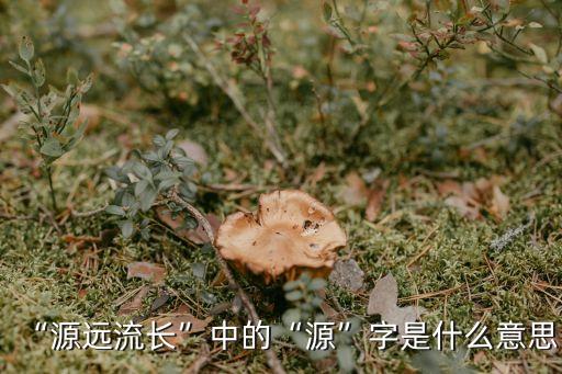 源字象征什么意思