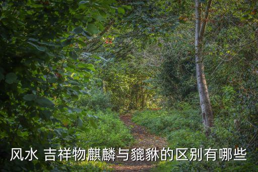 開光吉祥物,開光吉祥物第一個放置是最重要的!
