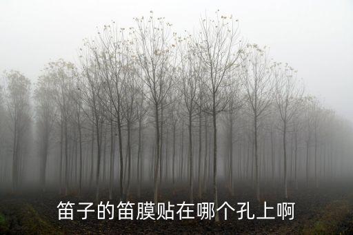 笛膜貼在哪個孔，笛子的笛膜貼在哪個孔上啊