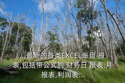 ...最新的各類EXCEL賬目 報表,包括帶公式的 財務(wù)日 報表,月 報表,利潤表...