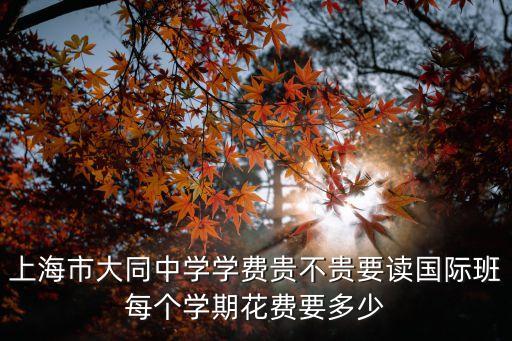 上海市大同中學學費貴不貴要讀國際班每個學期花費要多少
