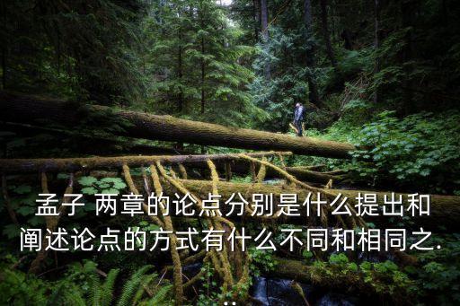 孟子 兩章的論點分別是什么提出和闡述論點的方式有什么不同和相同之...