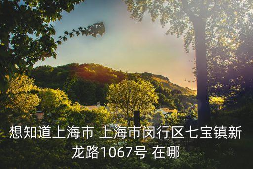 想知道上海市 上海市閔行區(qū)七寶鎮(zhèn)新龍路1067號(hào) 在哪