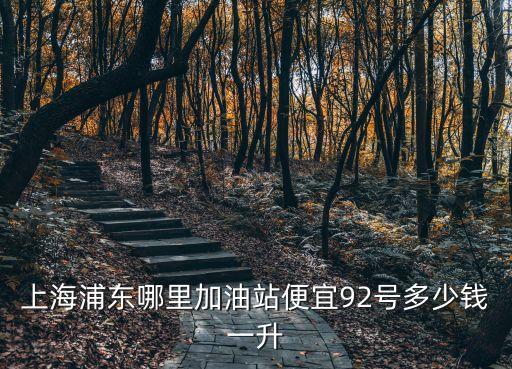 上海浦東哪里加油站便宜92號多少錢一升