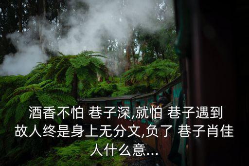  酒香不怕 巷子深,就怕 巷子遇到故人終是身上無分文,負了 巷子肖佳人什么意...