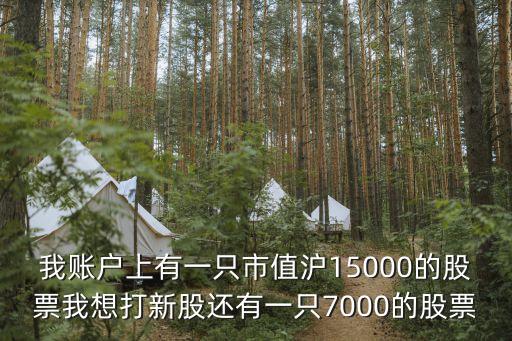 我賬戶上有一只市值滬15000的股票我想打新股還有一只7000的股票