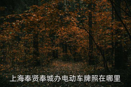 上海市奉賢區南橋鎮電動車上牌，上海奉賢奉城辦電動車牌照在哪里