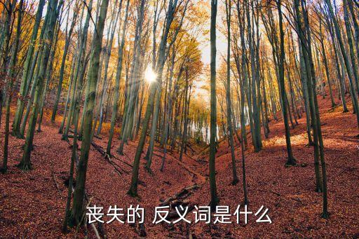 失去的反義詞,反義詞:失去信心和挫折
