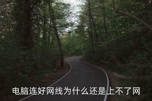 電腦連好網線為什么還是上不了網