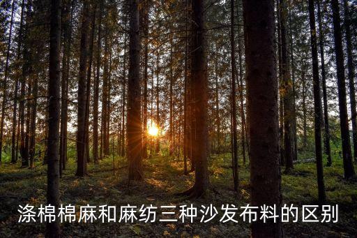 麻紡，滌棉棉麻和麻紡三種沙發(fā)布料的區(qū)別