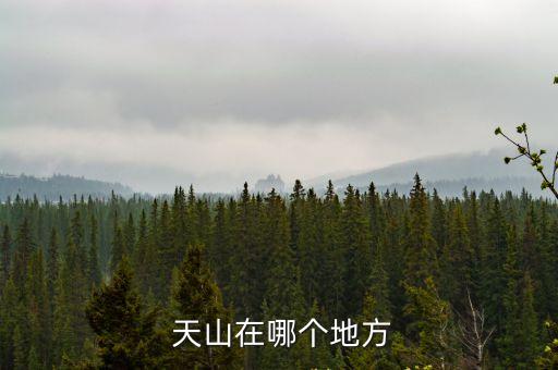  天山在哪個地方