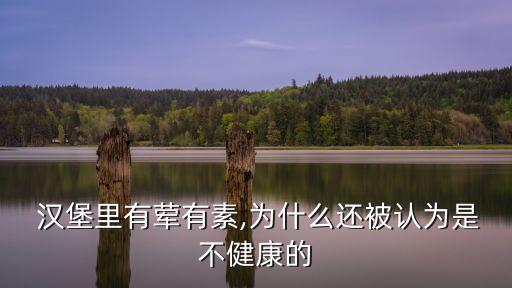 漢堡套餐圖片,漢堡有肉有菜有蔬菜為何更健康?