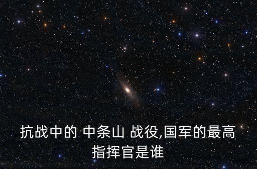 抗戰中的 中條山 戰役,國軍的最高指揮官是誰
