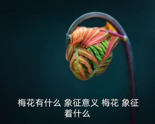  梅花有什么 象征意義 梅花 象征著什么