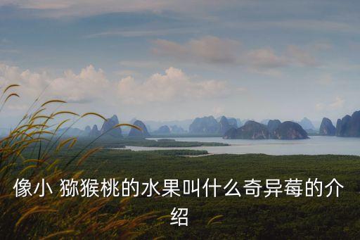像小 獼猴桃的水果叫什么奇異莓的介紹