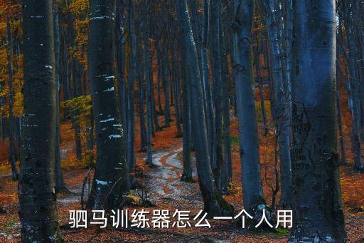 駟馬訓練器怎么一個人用