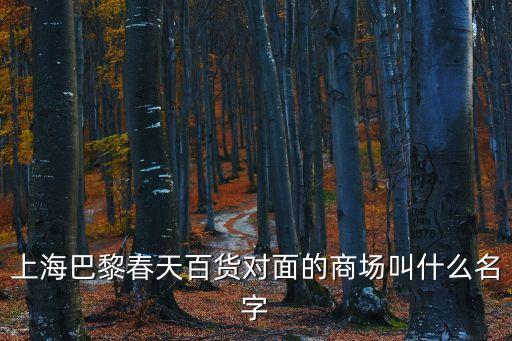 上海巴黎春天百貨對面的商場叫什么名字