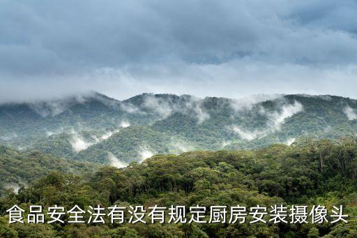 上海市食品安全條例監(jiān)控，食品安全法有沒有規(guī)定廚房安裝攝像頭