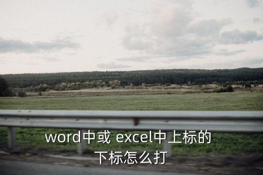 word中或 excel中上標(biāo)的 下標(biāo)怎么打