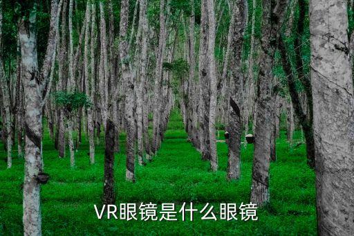 什么是vr眼鏡，什么是VR眼鏡
