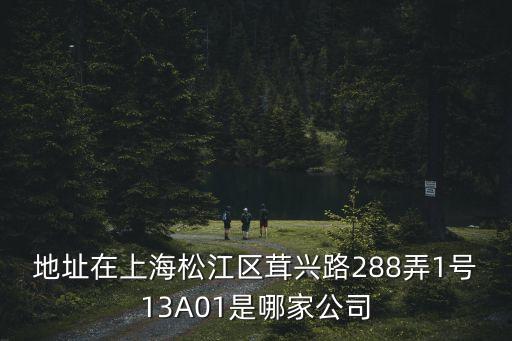 地址在上海松江區(qū)茸興路288弄1號13A01是哪家公司
