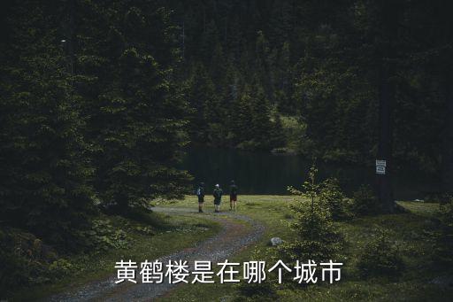湖北黃鶴樓,黃鶴樓在武漢武漢火神山上