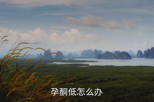 孕酮低怎么辦
